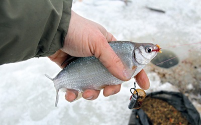 Как сделать зимний фидер - Самоделки для рыбалки своими руками