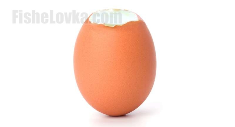 Подготовленное яйцо.